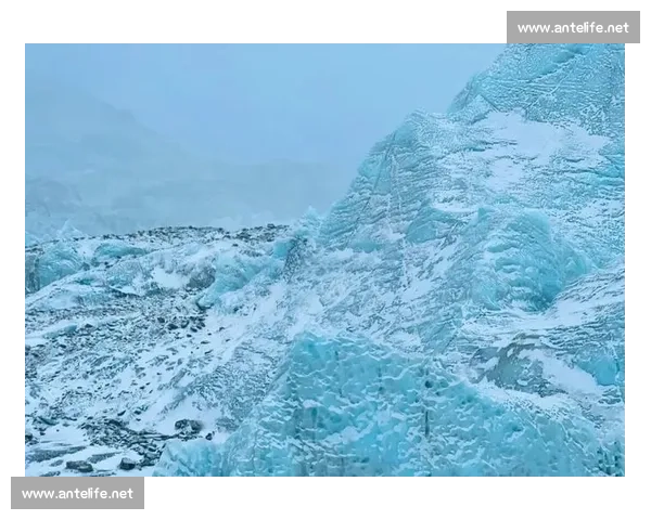 世界纪录背后的奇迹与挑战:探秘各领域人类极限成就