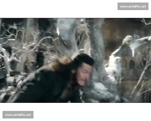 冷门英雄的逆袭之路：被忽视的力量与不为人知的传奇故事